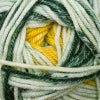 Anthem Chords -Green Bay