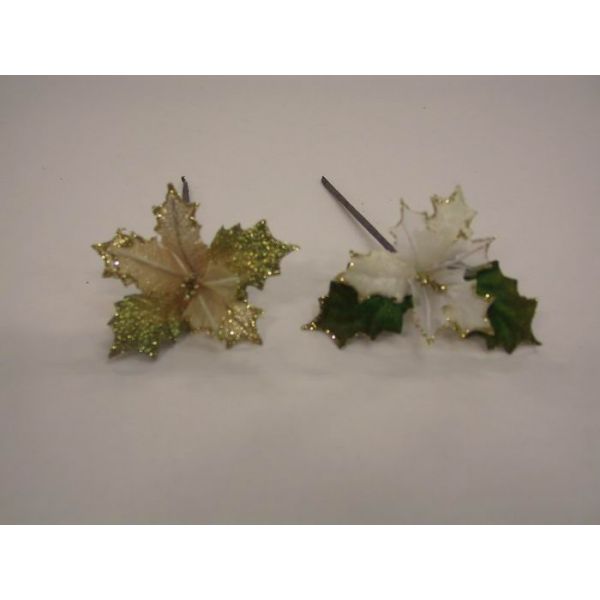 POINSETTIA PICK: SMALL W/SHEER LVS GOLD EDGE (soft ivory)