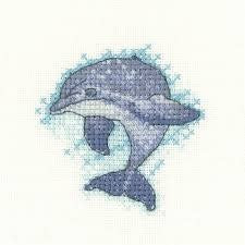 Dolphin Pattern
