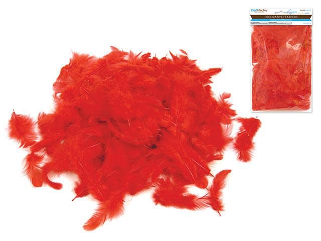 Craft Feathers