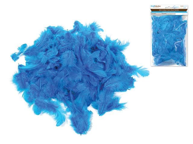 Craft Feathers