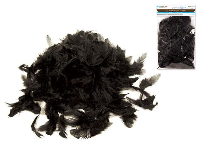 Craft Feathers