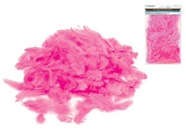 Craft Feathers