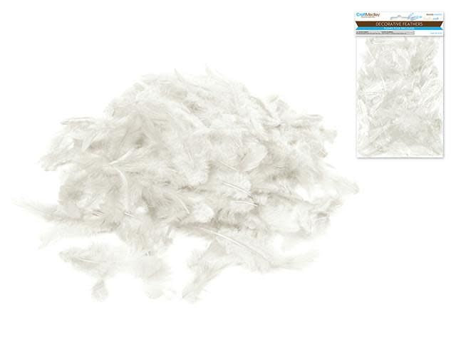 Craft Feathers