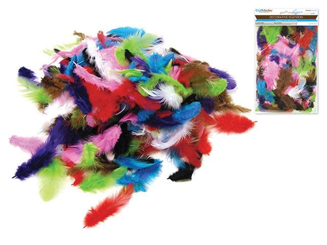 Craft Feathers