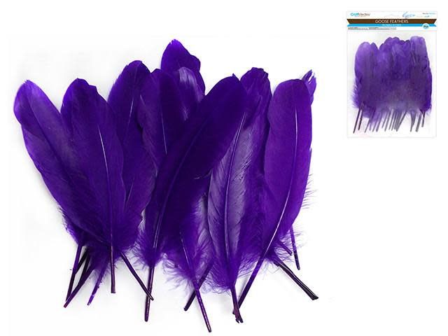 Craft Feathers Goose
