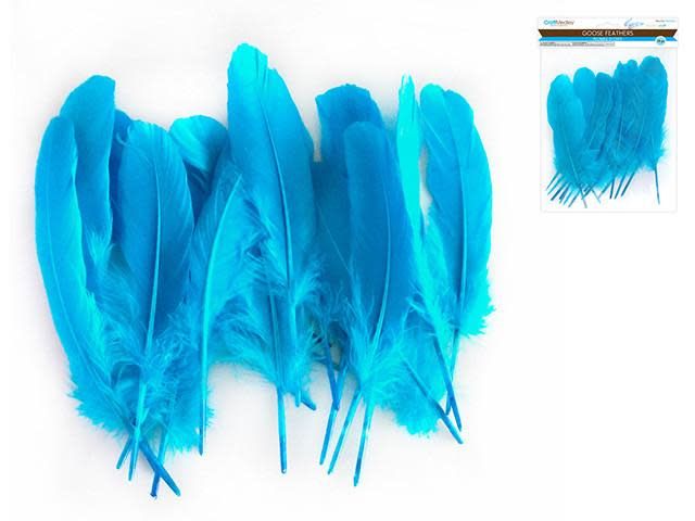Craft Feathers Goose