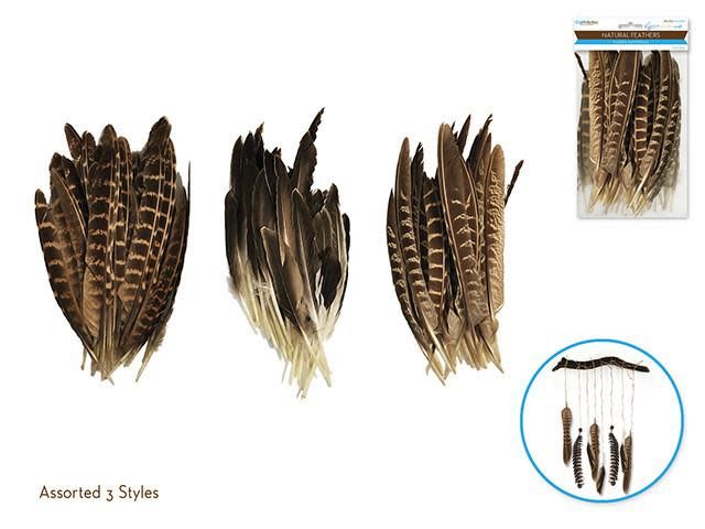 Craft Feathers
