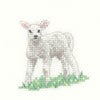Lamb Pattern