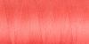 Ashford Weaving Cotton 5/2 - Coral Red